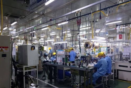 私家車、閑置房與“低收入人群”標簽 理解當下經濟現象的多元視角